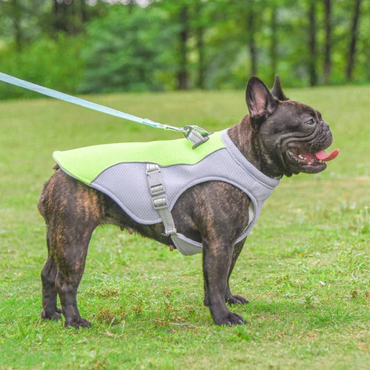 CoolWalk - Summer Dog Cooling Quick Release Reflective Vest